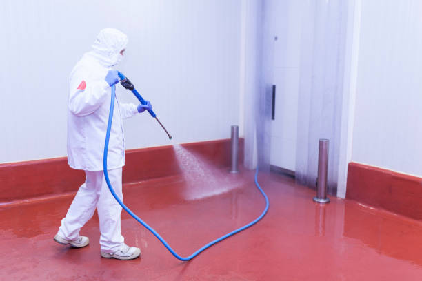 Best Driveway Pressure Washing  in Margate, FL